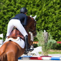 Stivali da equitazione Winslow Horze Nero Stivali da equitazione Winslow Horze Nero