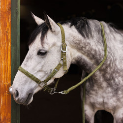 Set cavezza e lunghina Chicago Horze Verde cipresso / verde loden