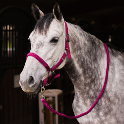 Set cavezza e lunghina Chicago Horze Bordeaux / quarzo viola