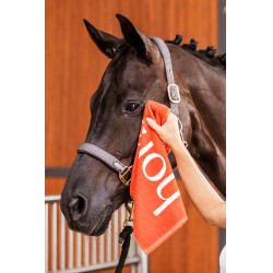 Asciugamano Horze Arancione ruggine