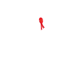 Lot de flot Mini Poney LeMieux Lot de flot Mini Poney LeMieux