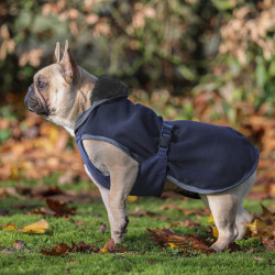 Coperta per cane Show-Line Bucas Coperta per cane Show-Line Bucas
