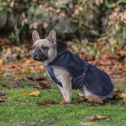 Coperta per cane Show-Line Bucas Coperta per cane Show-Line Bucas