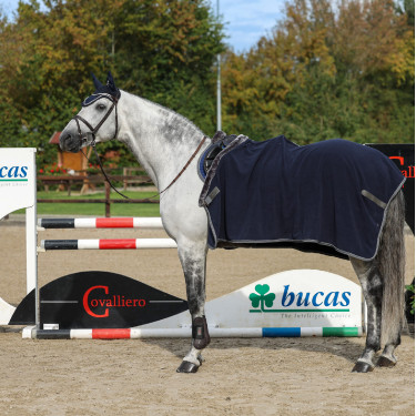 Coperta in pile Bucas Show-Line 400g Coperta in pile Bucas Show-Line 400g