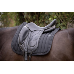 Tappeti verticali dressage Paddock Sport