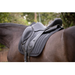 Tappeti verticali dressage Paddock Sport Nero Tappeti verticali dressage Paddock Sport Nero