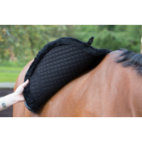Tappetino LeMieux Merino+ Sensitive Skin Euro Jump Square Bianco Tappetino LeMieux Merino+ Sensitive Skin Euro Jump Square Bianco