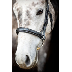 Bridon Montar Hunter Nero