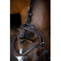 Briglia Montar Monarch in cuoio conciato organicamente Marrone