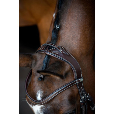 Briglia Montar Monarch in cuoio conciato organicamente Marrone