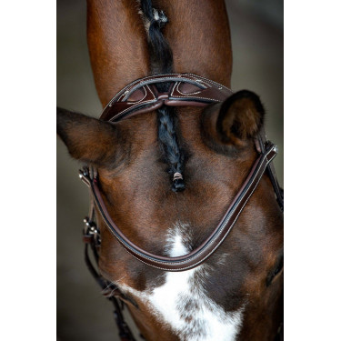 Briglia Montar Monarch in cuoio conciato organicamente Marrone