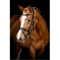 Briglia Montar Normandie in cuoio conciato Nero