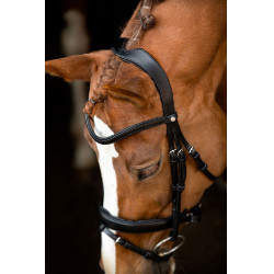 Briglia Montar Normandie in cuoio conciato Nero Briglia Montar Normandie in cuoio conciato Nero