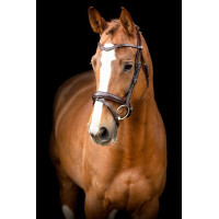 Briglia Montar Normandie in cuoio conciato Nero Briglia Montar Normandie in cuoio conciato Nero