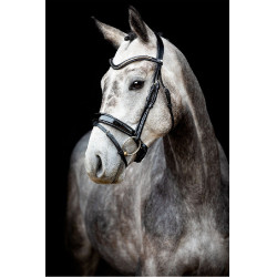 Briglia Montar Normandie Deluxe in cuoio conciato Nero