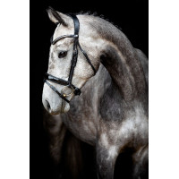 Briglia Montar Normandie Deluxe in cuoio conciato Nero