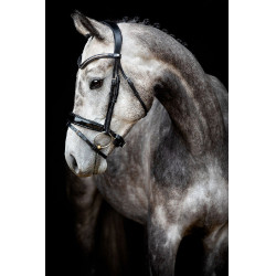 Briglia Montar Normandie Deluxe in cuoio conciato Nero