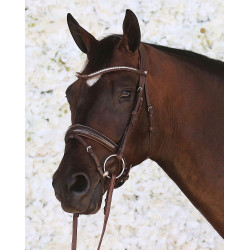 Briglia Montar Normandie Deluxe in cuoio conciato Marrone Briglia Montar Normandie Deluxe in cuoio conciato Marrone