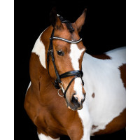 Briglia Montar testiera Anatomica Fair Nero