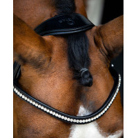 Briglia Montar testiera Anatomica Fair Nero