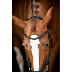 Briglia Montar US Excellence Adapt in cuoio conciato Nero Briglia Montar US Excellence Adapt in cuoio conciato Nero