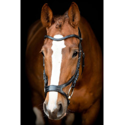 Briglia Montar US Excellence Adapt in cuoio conciato Nero Briglia Montar US Excellence Adapt in cuoio conciato Nero