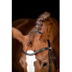 Briglia Montar US Excellence Adapt in cuoio conciato Nero Briglia Montar US Excellence Adapt in cuoio conciato Nero