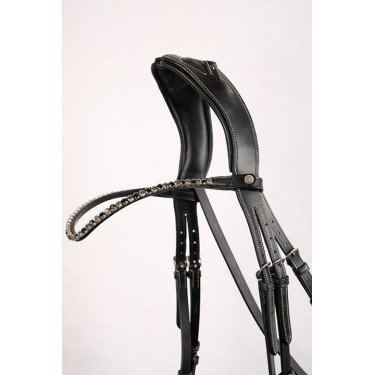Frontale Montar Fair cristallo nero curvo Frontale Montar Fair cristallo nero curvo