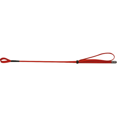 Frustino Whip & Go 53 cm Frustino Whip & Go 53 cm