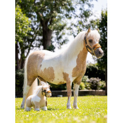Mini Pony LeMieux Limone Mini Pony LeMieux Limone