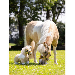 Mini Pony LeMieux Limone Mini Pony LeMieux Limone