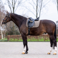 Sottosella HV Polo Essential Dressage Nebbia blu scuro Sottosella HV Polo Essential Dressage Nebbia blu scuro