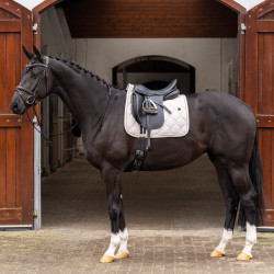 Sottosella HV Polo Dana Dressage Sottosella HV Polo Dana Dressage