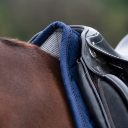 Sottosella HV Polo Dana Dressage Sottosella HV Polo Dana Dressage