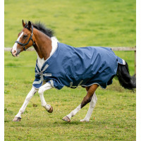 Coperta Horseware Amigo Bravo 12 XL 0g Marina / grigio titanio / argento Blu marino