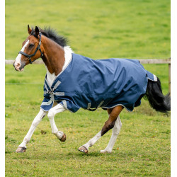 Coperta Horseware Amigo Bravo 12 XL 0g Marina / grigio titanio / argento Blu marino Coperta Horseware Amigo Bravo 12 XL 0g Marina / grigio titanio / argento Blu marino