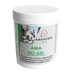 Gel à l'arnica et à la griffe du diable 250g Umbria Equitazione Gel à l'arnica et à la griffe du diable 250g Umbria Equitazione