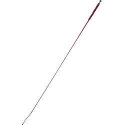 Frustino da dressage Whip & Go Points Frustino da dressage Whip & Go Points