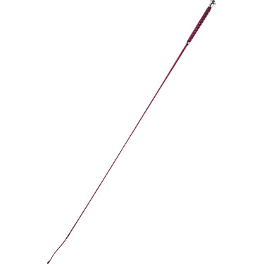 Frustino da dressage Whip & Go Points Frustino da dressage Whip & Go Points