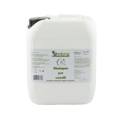 Shampoo per cavalli Ama 5 L Umbria Equitazione