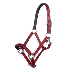 Capezzina Breakaway 2 HKM Capezzina Breakaway 2 HKM