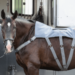 Tappeto massaggiante riscaldato Equilibrium Grigio Tappeto massaggiante riscaldato Equilibrium Grigio