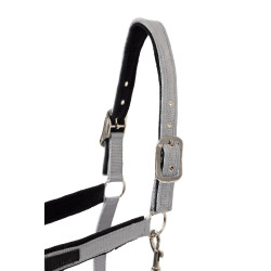 Capezza Delémont Horze Lega Grigio