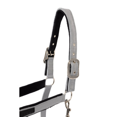 Capezza Delémont Horze Lega Grigio