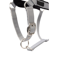 Capezza Delémont Horze Lega Grigio