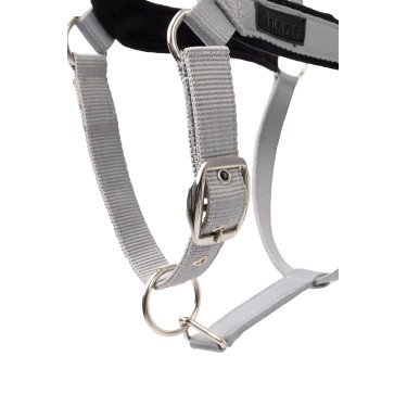 Capezza Delémont Horze Lega Grigio