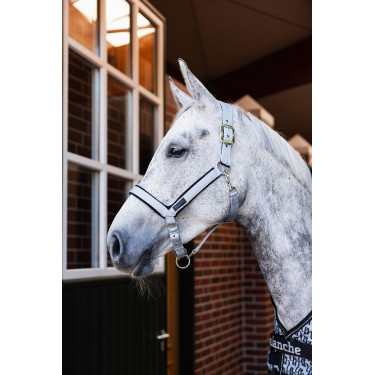 Capezza Delémont Horze Lega Grigio