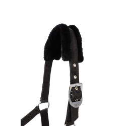 Capestro e lunghina per pony Pegasus Horze Capestro e lunghina per pony Pegasus Horze