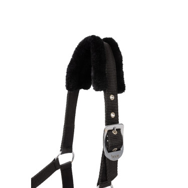 Capestro e lunghina per pony Pegasus Horze Capestro e lunghina per pony Pegasus Horze