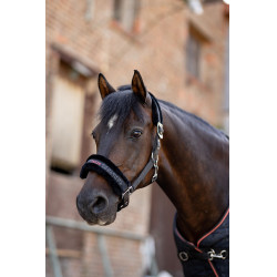 Capestro e lunghina per pony Pegasus Horze Capestro e lunghina per pony Pegasus Horze